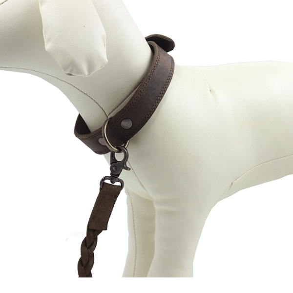 Kjøre Project Leather Dog Collar & Leash Soddisfazione Garantita