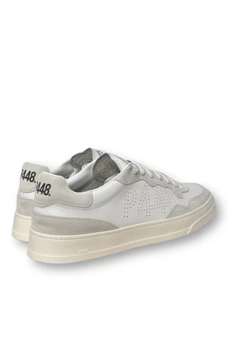 P448 SNEAKER Negozio