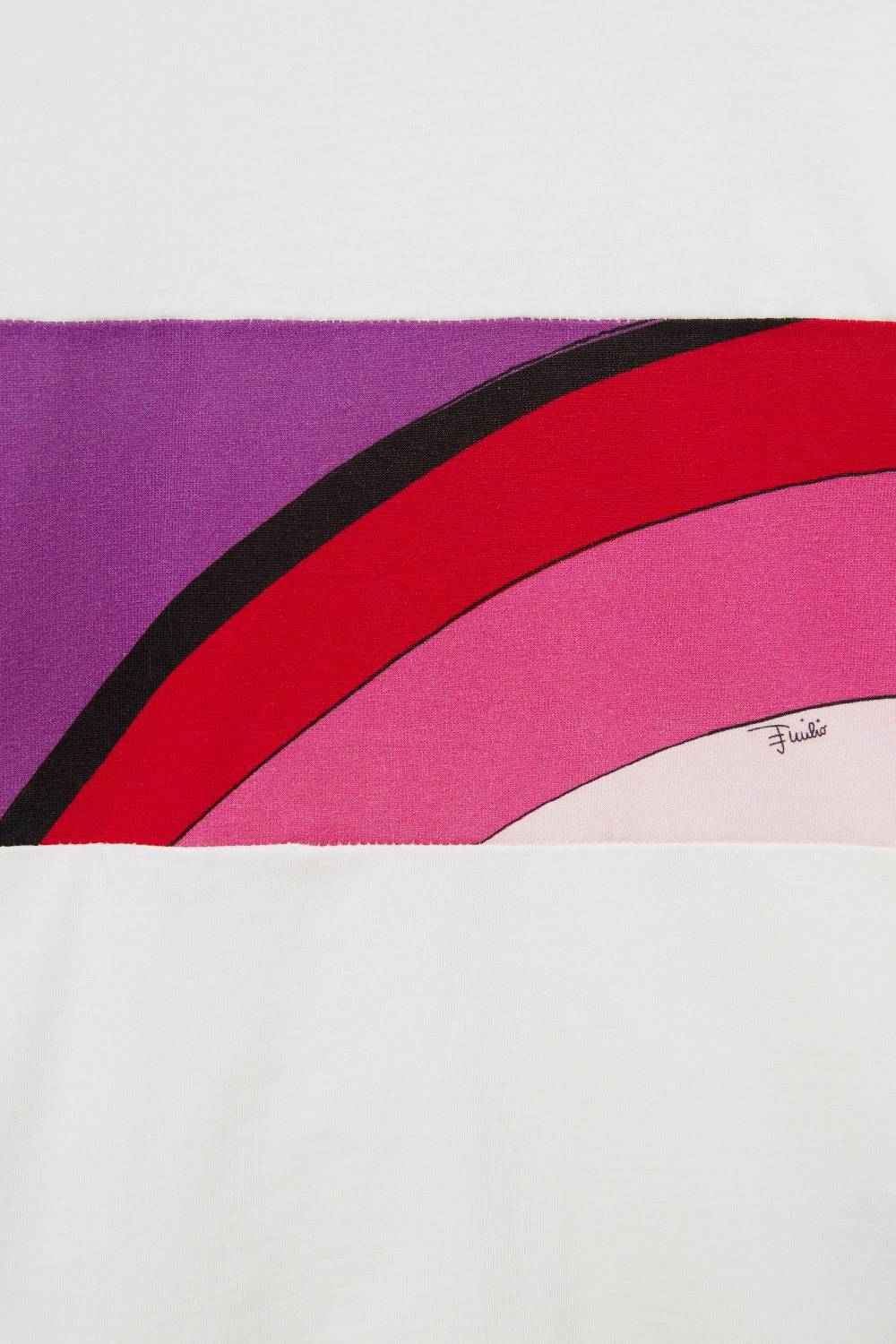 Pucci Felpa con inserto Iride Online