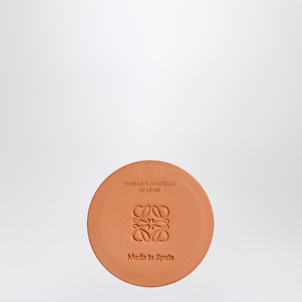 Loewe Candela Wasabi piccola gialla 2025