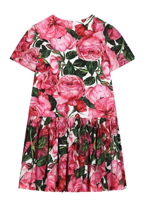 DOLCE & GABBANA KIDS Abito Con Stampa Di Rose Su Sfondo Bianco - DOLCE & GABBANA KIDS Promozione