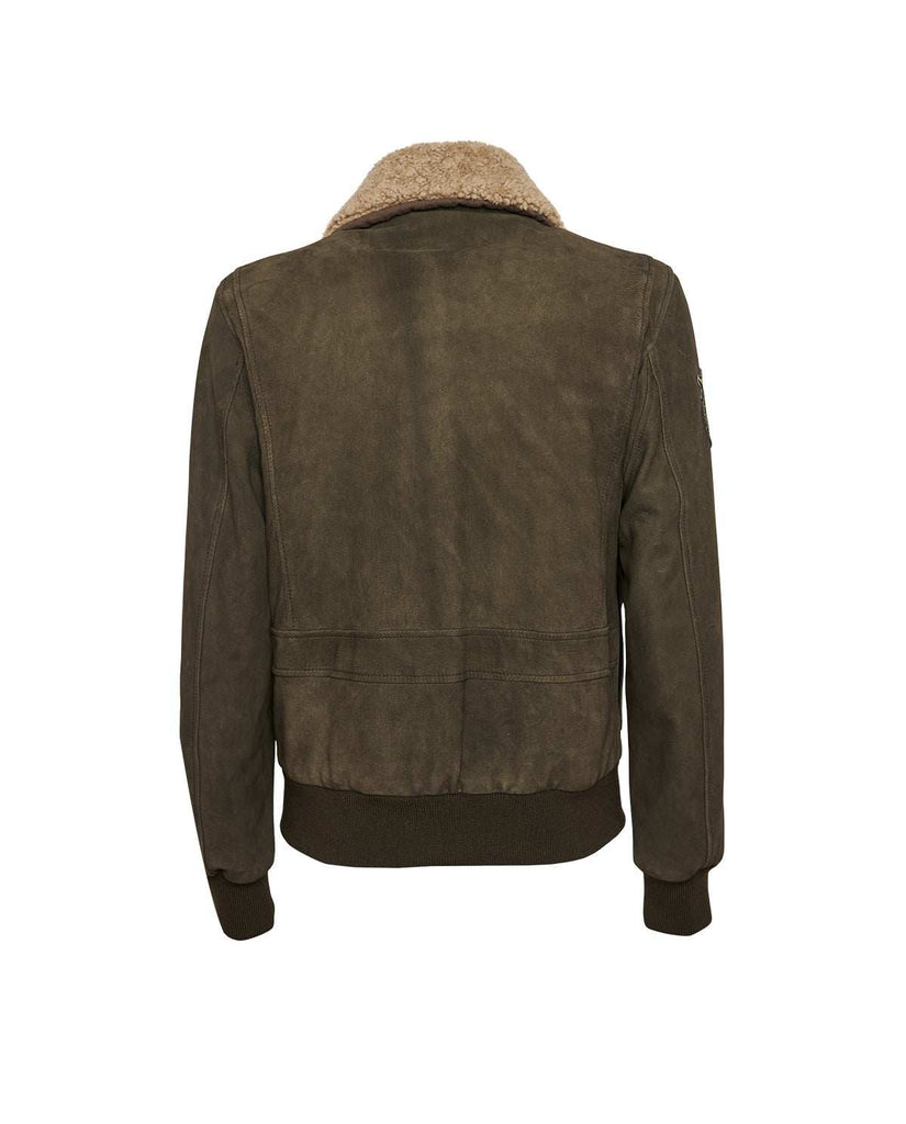 Stewart TORNADO-CHEVRETTE SKIN REMOVABLE COLLAR Pezzi Unici
